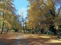 Zielona Góra - Park Piastowski