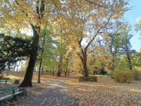 Zielona Góra - Park Piastowski