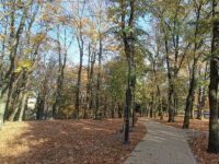 Zielona Góra - Park Tysiąclecia