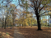 Zielona Góra - Park Tysiąclecia