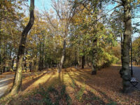 Zielona Góra - Park Tysiąclecia