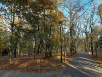 Zielona Góra - Park Tysiąclecia