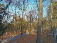 Zielona Góra - Park Tysiąclecia