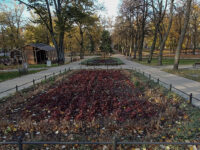 Zielona Góra - Park Tysiąclecia