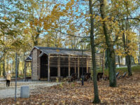 Zielona Góra - Park Tysiąclecia