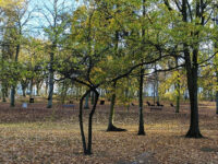 Zielona Góra - Park Tysiąclecia