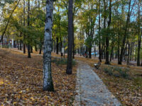 Zielona Góra - Park Tysiąclecia