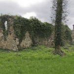 Zatonie - ruiny kościoła św, Jana