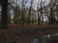 Bojadła - Park obok pałacu