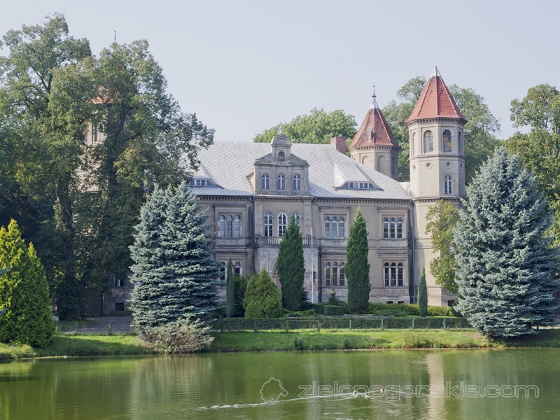 Dąbrówka Wielkopolska - Pałac