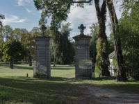 Nietków - Park pałacowy