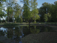 Laski - Park pałacowy