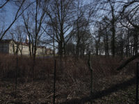 Dzietrzychowice - Pałac