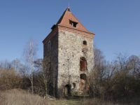 Dzietrzychowice - Wieża rycerska