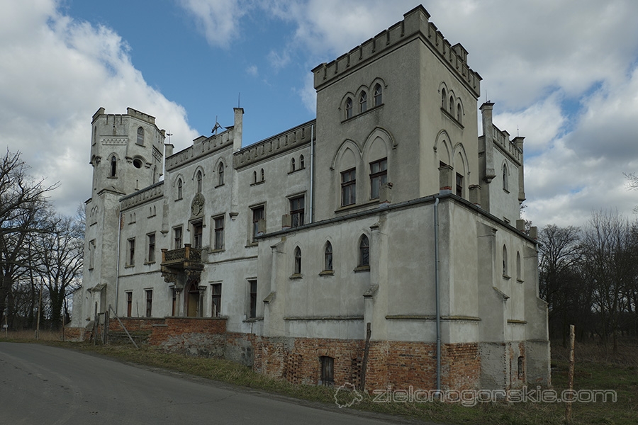 Drwalewice - Pałac